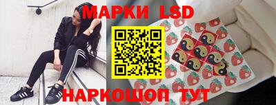 сатива Краснодар