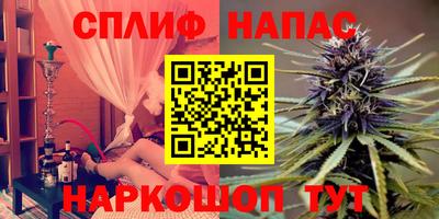 сатива Краснодар