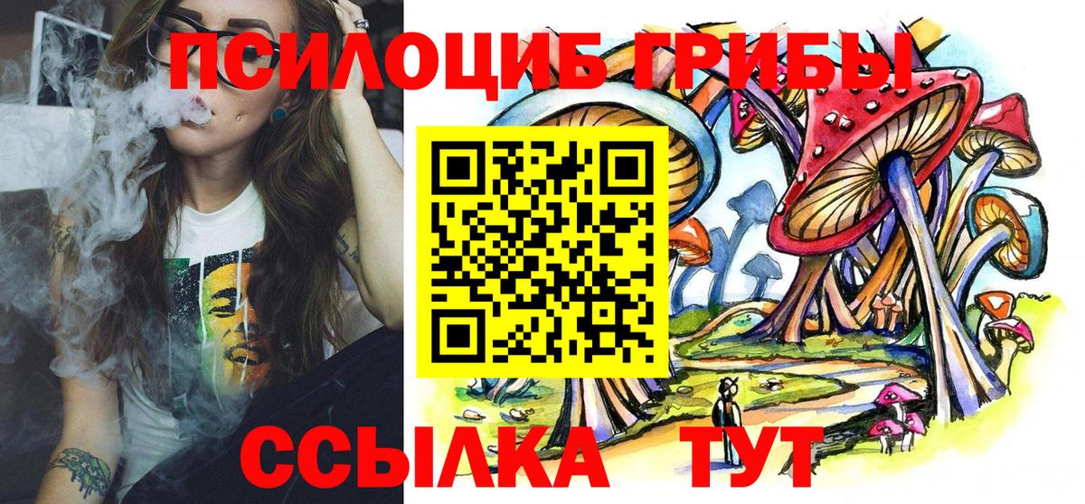Псилоцибиновые грибы Cubensis  Вход с VPN  Йошкар-Ола 